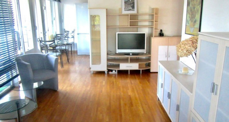  UN Area Rent of a sunny one bedroom fully furnished apartment image 2