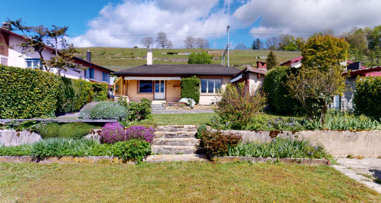 Maison individuelle pied dans leau à Grandson ! image 2
