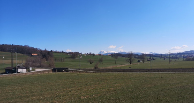 A LOUER A ROMONT: Magnifique appartement de 4.5 pièces  image 2