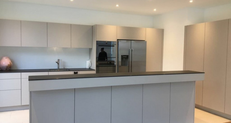 Villa moderne individuelle avec piscine à Vésenaz image 6