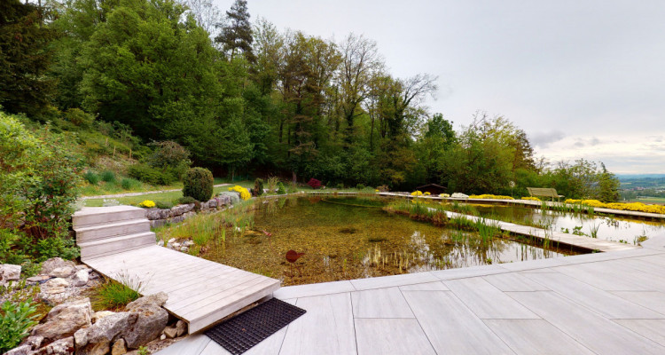 Traumhaus mit Naturweiher und Weitsicht (im Baurecht) image 12