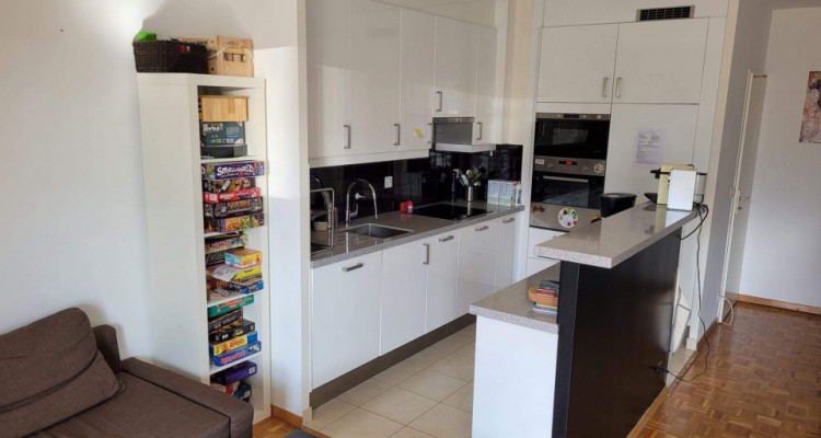 Urgent ! 4 pièces traversant 2690 CHF à Plan-les-ouates image 4