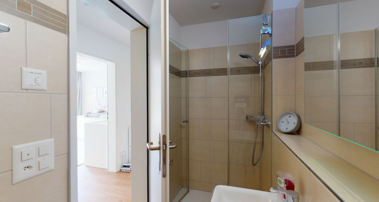 4.5 Zimmer Gartenwohnung mit Atemberaubender Weitsicht image 11