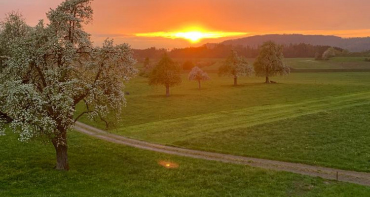 4.5 Zimmer Gartenwohnung mit Atemberaubender Weitsicht image 1