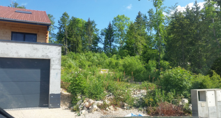 TERRAIN à bâtir, Lamoura Haut Jura image 2