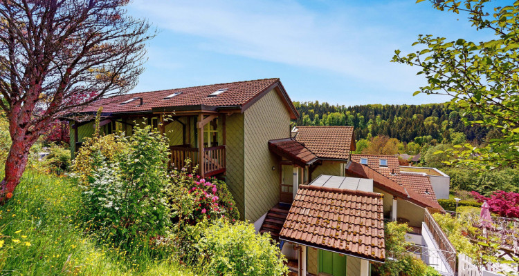 Seltene  5.5-Zi. Attikawohnung mit Garten, Terrasse und Privatsphäre image 3