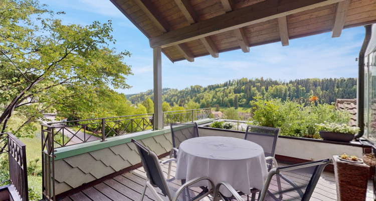 Seltene  5.5-Zi. Attikawohnung mit Garten, Terrasse und Privatsphäre image 4