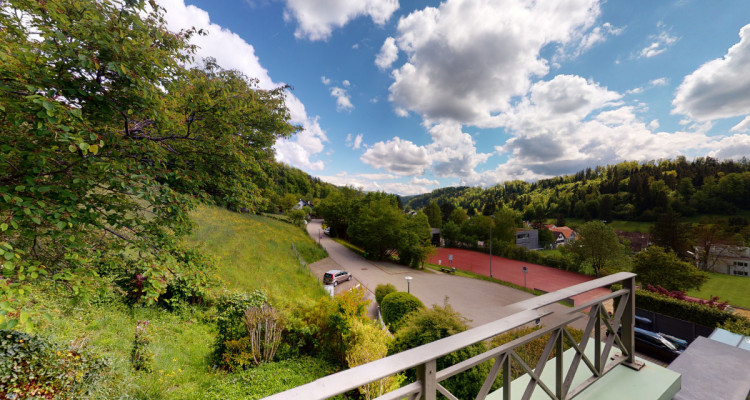 Seltene  5.5-Zi. Attikawohnung mit Garten, Terrasse und Privatsphäre image 1