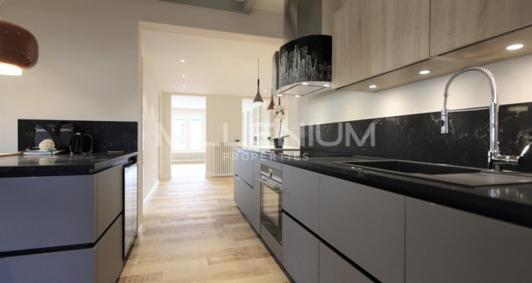 Satigny, magnifique maison au milieu des vignes image 4