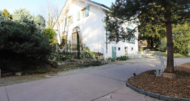 Satigny, magnifique maison au milieu des vignes image 10