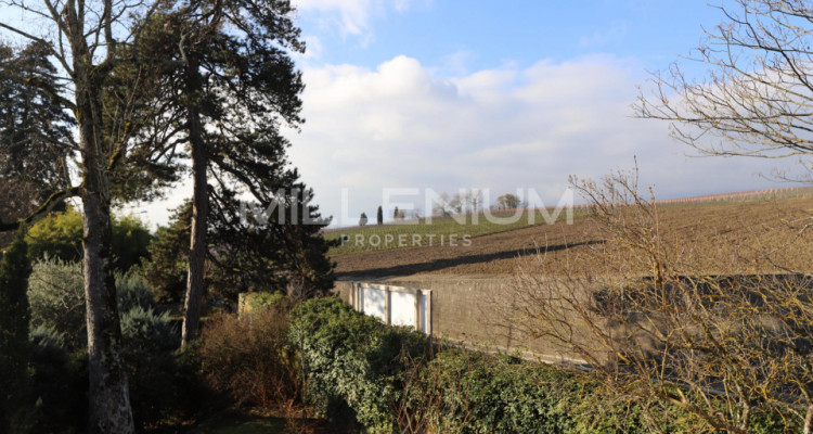 Satigny, magnifique maison au milieu des vignes image 11