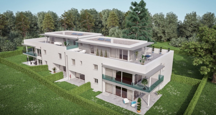 duplex inversé avec ascenseur privé  image 2