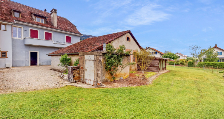 Ancienne maison de vigneron à Bonvillars ! image 3