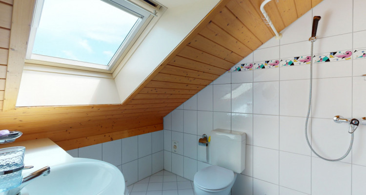 Grosses Eckhaus mit viel grünem Umschwung und Einleger Wohnung im DG image 4