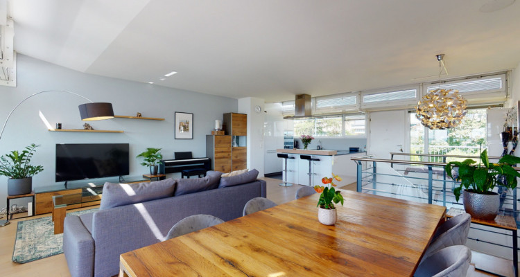 Schöne Duplexwohnung mit toller Aussicht in der Nähe Zürichs image 9