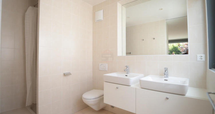 Maison contemporaine de 7.5 pièces proche du centre de Vésenaz image 10