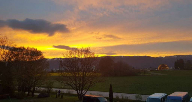 Appartement de 33m2 à Meyrin  image 2