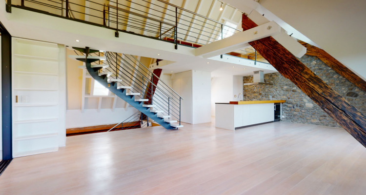 Objet dexception sur 3 niveaux, entièrement rénové, jardin commun. image 1