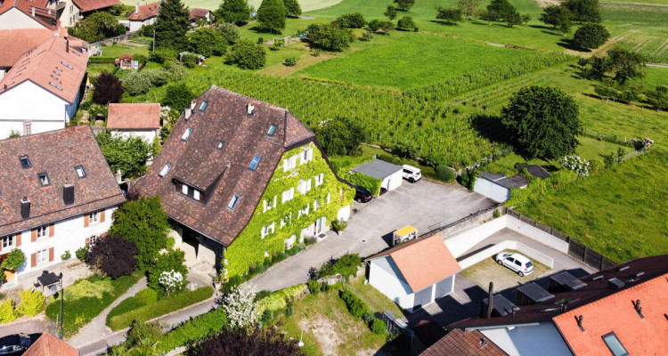 Objet dexception sur 3 niveaux, entièrement rénové, jardin commun. image 2