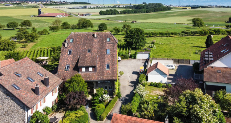 Objet dexception sur 3 niveaux, entièrement rénové, jardin commun. image 4