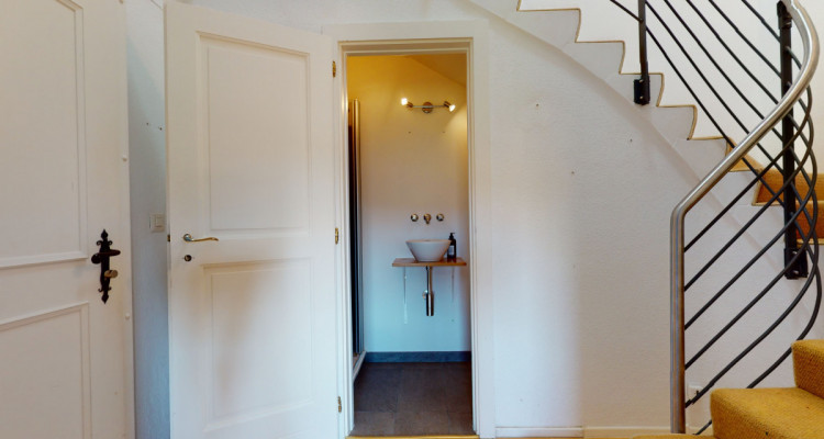 Objet dexception sur 3 niveaux, entièrement rénové, jardin commun. image 9