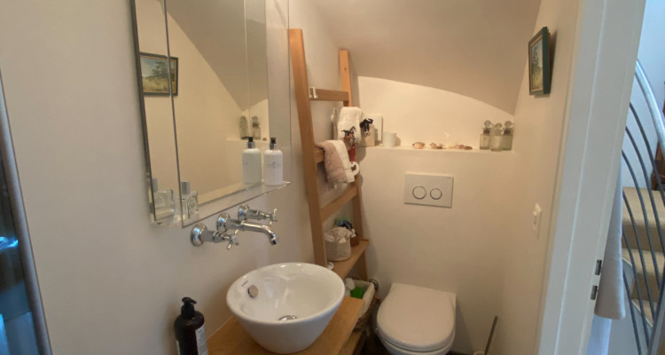 Objet dexception sur 3 niveaux, entièrement rénové, jardin commun. image 10