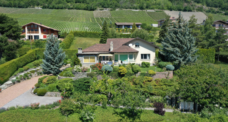 Magnifique maison, vue totalement dégagée et fort potentiel image 1