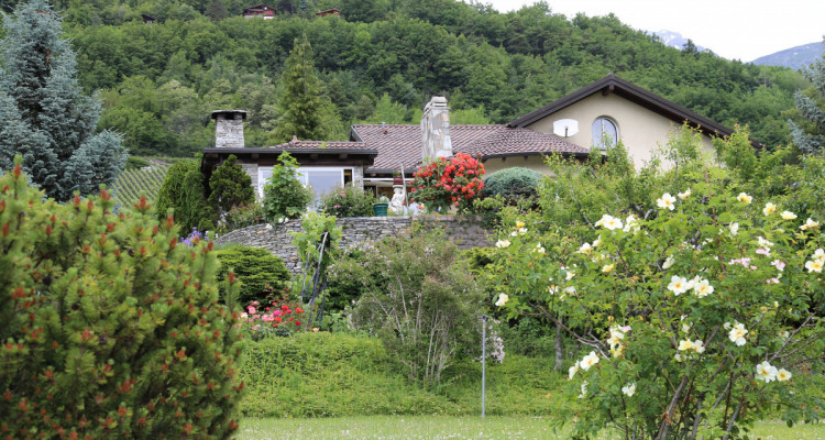 Magnifique maison, vue totalement dégagée et fort potentiel image 5