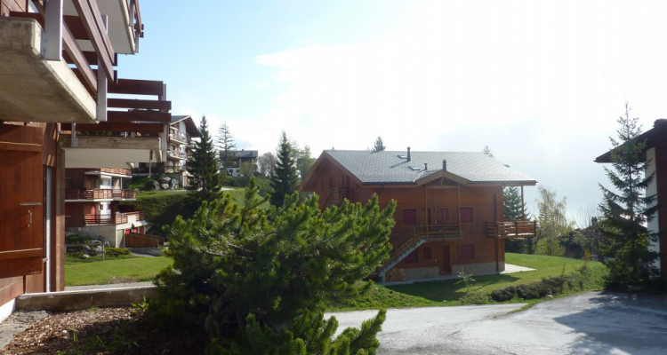 Anzère - Edelweiss E - Appartement de  3.5 pièces  image 3