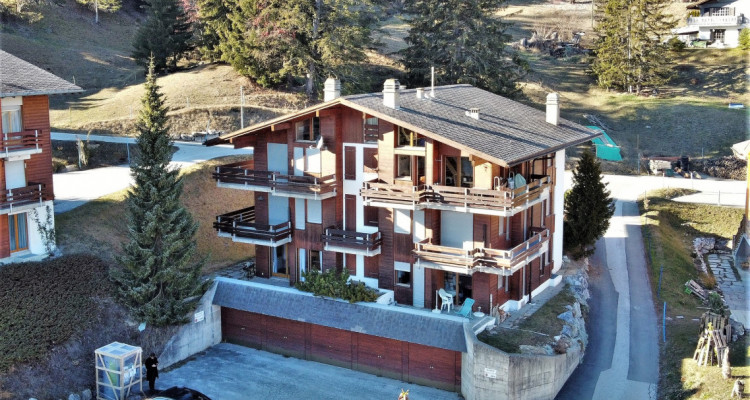 Anzère - Edelweiss E - Appartement de  3.5 pièces  image 5