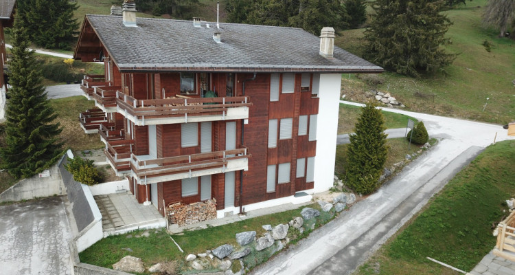 Anzère - Edelweiss E - Appartement de  3.5 pièces  image 11