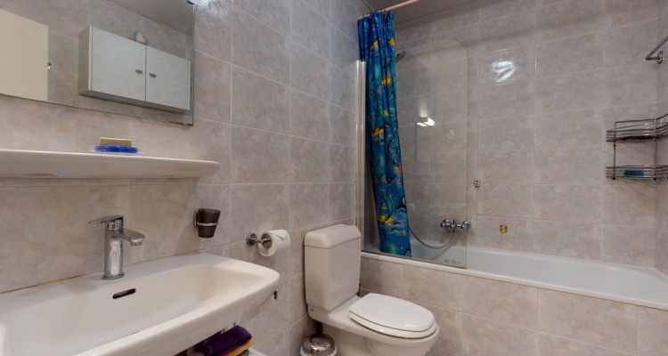 Face aux vignes image 8