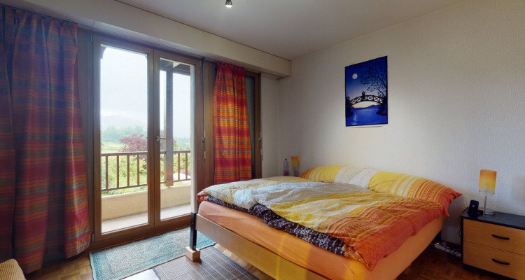 Face aux vignes image 12