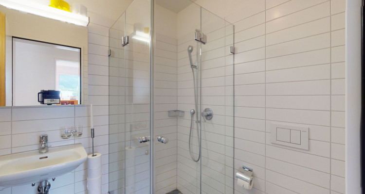 Moderne, zentral und doch ruhig gelegene Wohnung sucht neuen Besitzer image 12