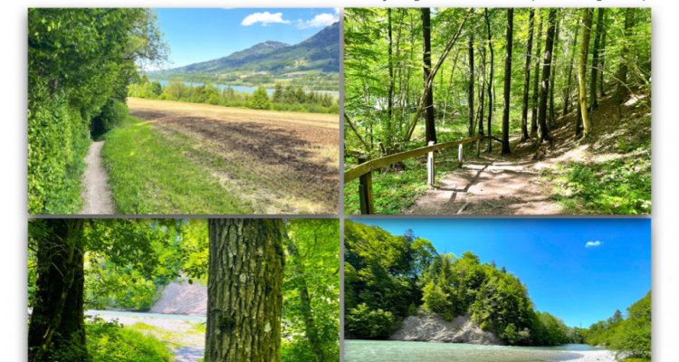 QUARTIER HARMONIEUX DE 36 VILLAS (16 VENDUES) image 5