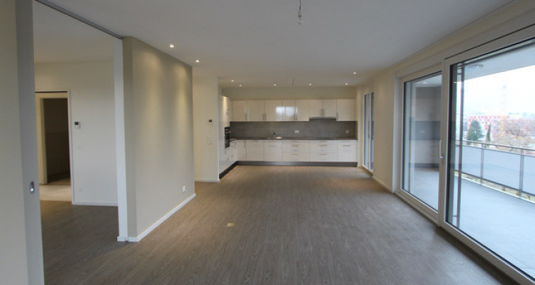 Superbe appartement attique de 151m2 plein sud à Cologny image 2