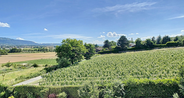 En Exclusivité ! En campagne Genevoise image 1