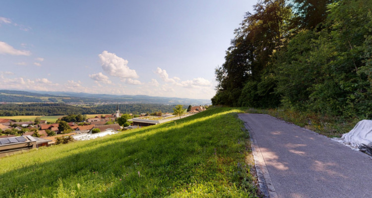 Einzigartige Parzelle direkt am Waldrand mit traumhafter Aussicht image 1
