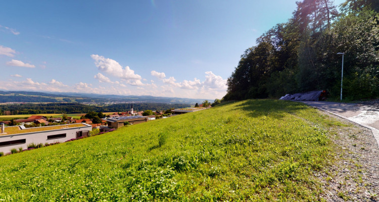 Einzigartige Parzelle direkt am Waldrand mit traumhafter Aussicht image 2