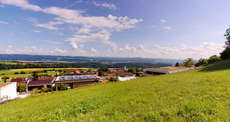 Einzigartige Parzelle direkt am Waldrand mit traumhafter Aussicht image 4