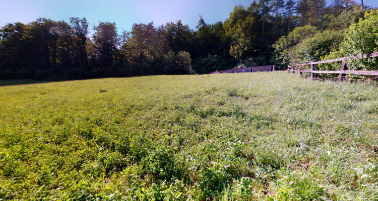 Einzigartige Parzelle direkt am Waldrand mit traumhafter Aussicht image 5