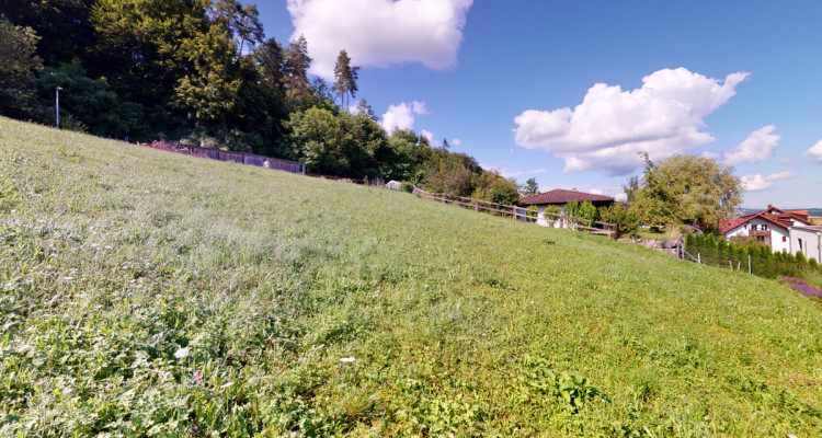 Einzigartige Parzelle direkt am Waldrand mit traumhafter Aussicht image 7