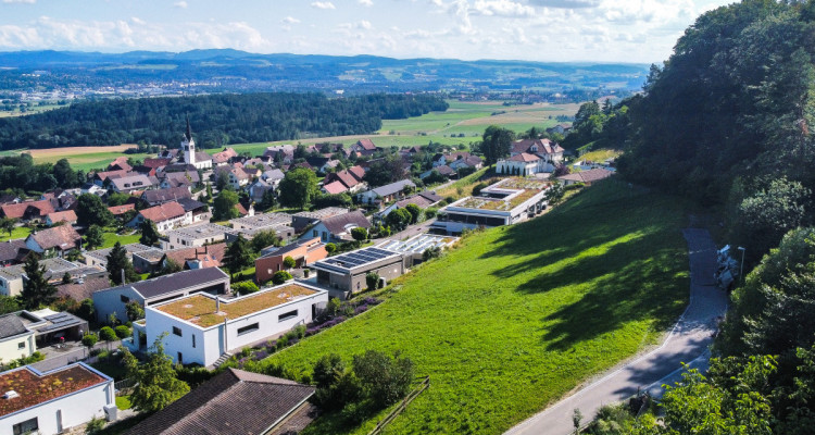 Einzigartige Parzelle direkt am Waldrand mit traumhafter Aussicht image 9