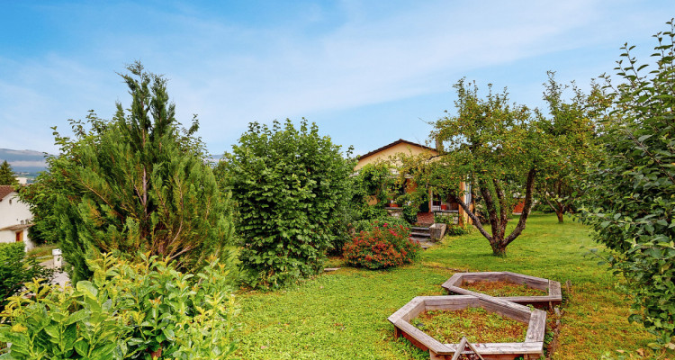 Maison individuelle avec grand jardin à Yverdon ! image 2