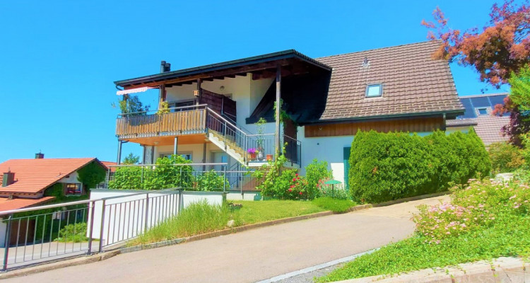 Wohn- und Gewerbeliegenschaft im Steweg-Eigentumsstandard image 1