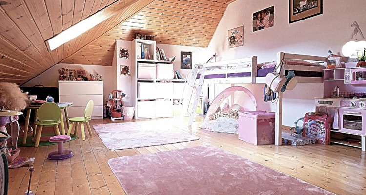 Superbe attique 3.5 p + mezza / 2 chambres / 1 SDB image 4