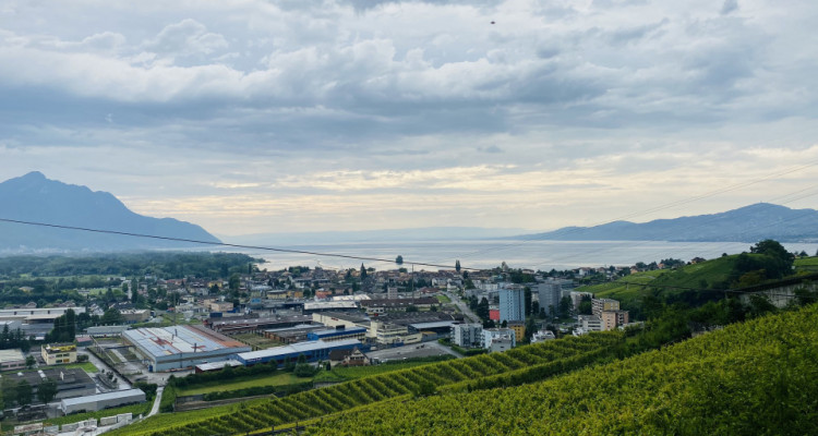 Magnifique maisonnette de 1.5 pièce avec vue Imprenable sur le lac image 1