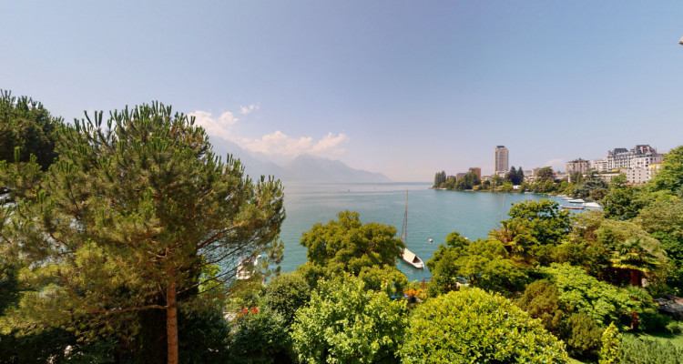 A Montreux, les pieds dans leau! image 3
