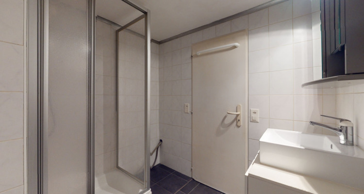 Passage entre rue Cherbuliez et rue Henri-Blanvalet image 9