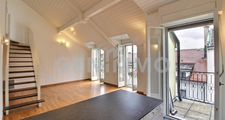 Pâquis - Magnifique duplex image 1